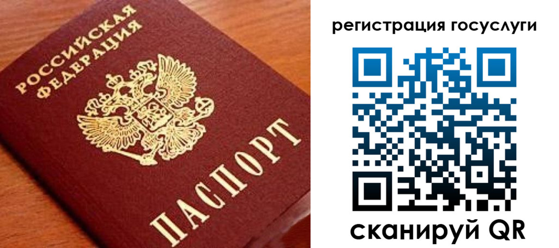 прописка иностранных граждан в Новороссийске